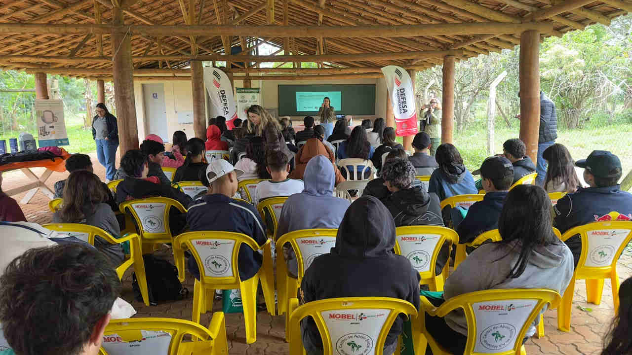 Produzindo Alimento Seguro Itapetininga agricultores set 2026 site